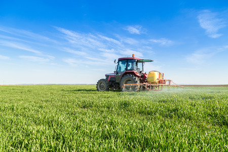 Farmer spraying green wheat fieldの写真素材