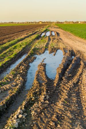 Agricultural landsaple, arable crop fieldの写真素材