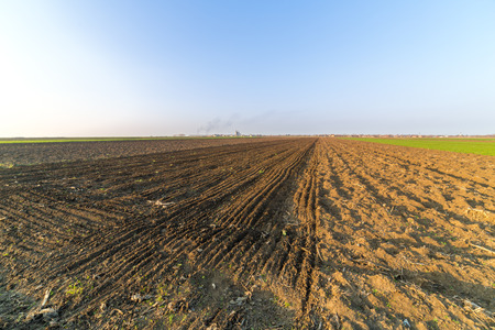 Agricultural landsaple, arable crop fieldの写真素材