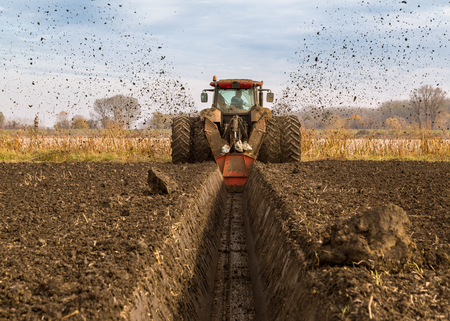 Agricultural landscape, arable crop fieldの写真素材