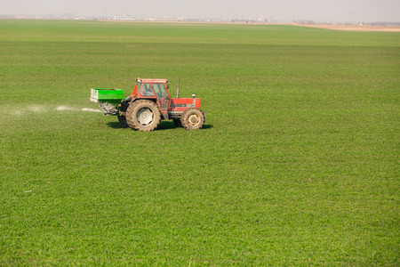 Farmer in tractor fertilizing wheat field at spring with npkの写真素材