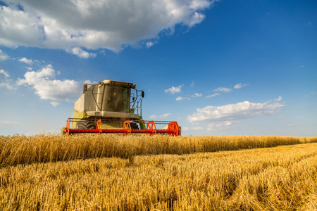 Combine harvester in action on wheat field