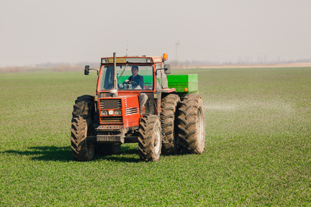 Farmer in tractor fertilizing wheat field at spring with npkの写真素材