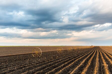 Potato field with irrigation system, right after seedingの写真素材