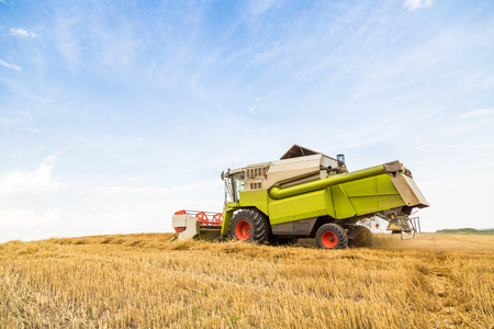 Combine harvester in action on wheat field. Harvesting is the process of gathering a ripe crop from the fields.の写真素材