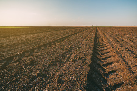 Agricultural landscape, arable crop field. Arable land is the land under temporary agricultural crops capable of being ploughed and used to grow crops.の写真素材