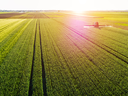 Farmer spraying green wheat fieldの写真素材