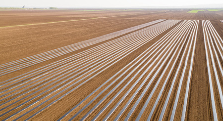 Cucumber beds covered with plastic foil ready for plantingの写真素材