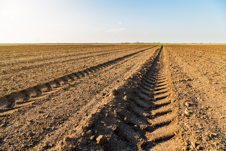Agricultural landscape, arable crop field. Arable land is the land under temporary agricultural crops capable of being ploughed and used to grow crops.の写真素材