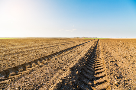 Agricultural landscape, arable crop field. Arable land is the land under temporary agricultural crops capable of being ploughed and used to grow crops.の写真素材