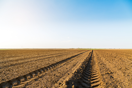 Agricultural landscape, arable crop field. Arable land is the land under temporary agricultural crops capable of being ploughed and used to grow crops.の写真素材