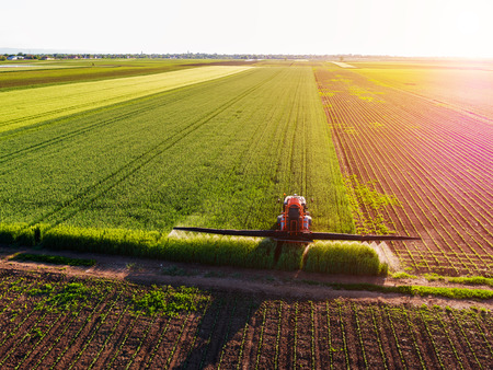 Farmer spraying green wheat fieldの写真素材