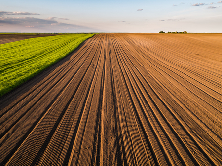 Agricultural landscape, arable crop field. Arable land is the land under temporary agricultural crops capable of being ploughed and used to grow crops.の写真素材