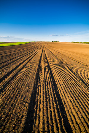 Agricultural landscape, arable crop field. Arable land is the land under temporary agricultural crops capable of being ploughed and used to grow crops.の写真素材