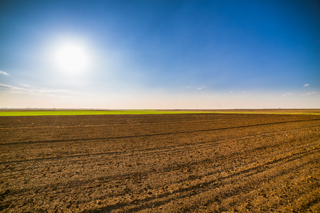 Agricultural landscape, arable crop field. Arable land is the land under temporary agricultural crops capable of being ploughed and used to grow crops.の写真素材