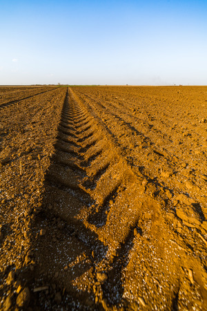 Agricultural landscape, arable crop field. Arable land is the land under temporary agricultural crops capable of being ploughed and used to grow crops.の写真素材