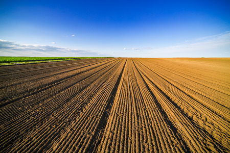 Agricultural landscape, arable crop field. Arable land is the land under temporary agricultural crops capable of being ploughed and used to grow crops.の写真素材