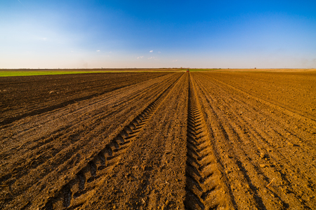 Agricultural landscape, arable crop field. Arable land is the land under temporary agricultural crops capable of being ploughed and used to grow crops.の写真素材