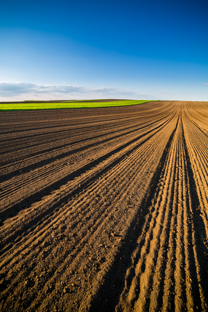 Agricultural landscape, arable crop field. Arable land is the land under temporary agricultural crops capable of being ploughed and used to grow crops.の写真素材