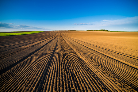 Agricultural landscape, arable crop field. Arable land is the land under temporary agricultural crops capable of being ploughed and used to grow crops.の写真素材