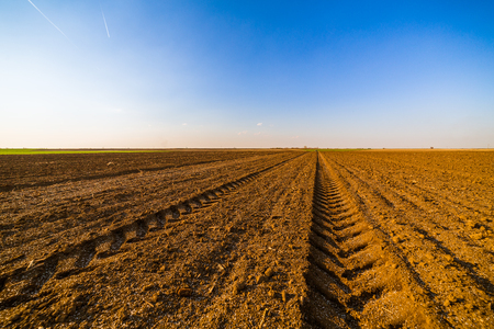 Agricultural landscape, arable crop field. Arable land is the land under temporary agricultural crops capable of being ploughed and used to grow crops.の写真素材