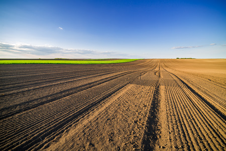 Agricultural landscape, arable crop field. Arable land is the land under temporary agricultural crops capable of being ploughed and used to grow crops.の写真素材