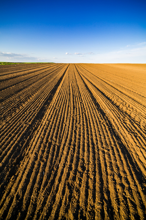 Agricultural landscape, arable crop field. Arable land is the land under temporary agricultural crops capable of being ploughed and used to grow crops.の写真素材