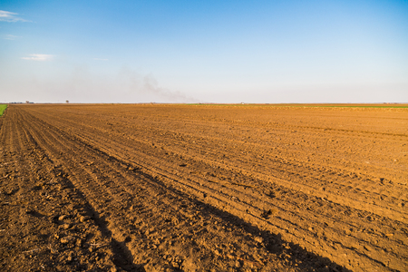 Agricultural landscape, arable crop field. Arable land is the land under temporary agricultural crops capable of being ploughed and used to grow crops.の写真素材