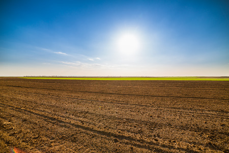 Agricultural landscape, arable crop field. Arable land is the land under temporary agricultural crops capable of being ploughed and used to grow crops.の写真素材