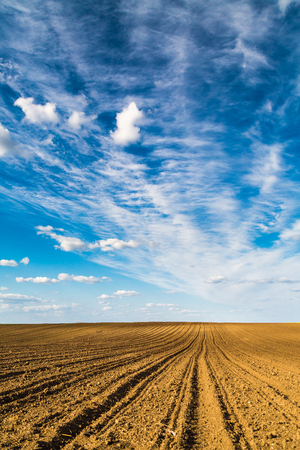 Agricultural landscape, arable crop field. Arable land is the land under temporary agricultural crops capable of being ploughed and used to grow crops.の写真素材