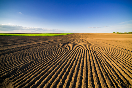 Agricultural landscape, arable crop field. Arable land is the land under temporary agricultural crops capable of being ploughed and used to grow crops.の写真素材