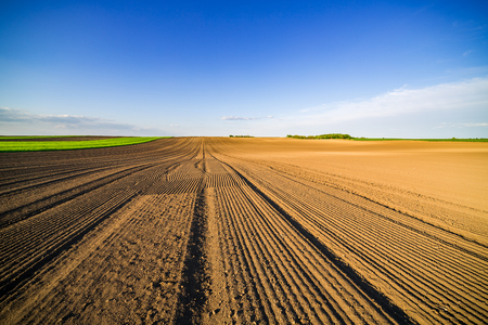 Agricultural landscape, arable crop field. Arable land is the land under temporary agricultural crops capable of being ploughed and used to grow crops.の写真素材