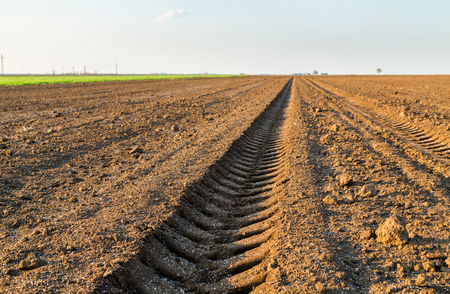 Agricultural landscape, arable crop field. Arable land is the land under temporary agricultural crops capable of being ploughed and used to grow crops.の写真素材