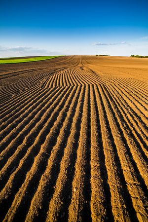 Agricultural landscape, arable crop field. Arable land is the land under temporary agricultural crops capable of being ploughed and used to grow crops.の写真素材