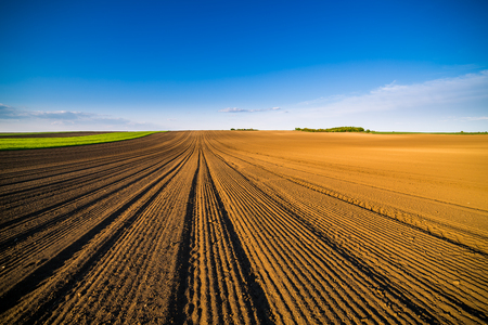 Agricultural landscape, arable crop field. Arable land is the land under temporary agricultural crops capable of being ploughed and used to grow crops.の写真素材