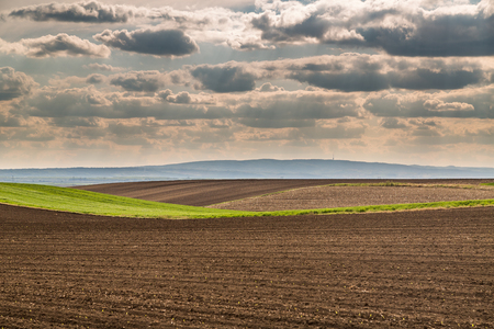 Agricultural landscape, arable crop field. Arable land is the land under temporary agricultural crops capable of being ploughed and used to grow crops.の写真素材