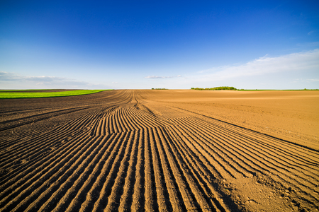 Agricultural landscape, arable crop field. Arable land is the land under temporary agricultural crops capable of being ploughed and used to grow crops.の写真素材