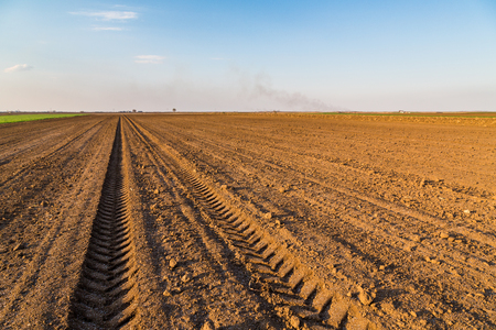 Agricultural landscape, arable crop field. Arable land is the land under temporary agricultural crops capable of being ploughed and used to grow crops.の写真素材