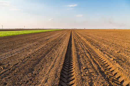 Agricultural landscape, arable crop field. Arable land is the land under temporary agricultural crops capable of being ploughed and used to grow crops.の写真素材