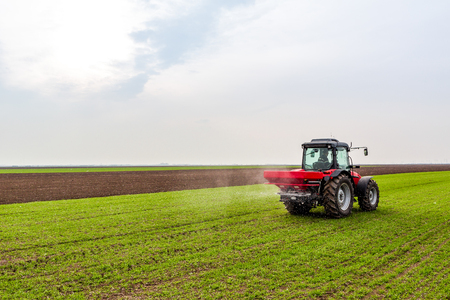 Farmer in tractor fertilizing wheat field at spring with npkの写真素材