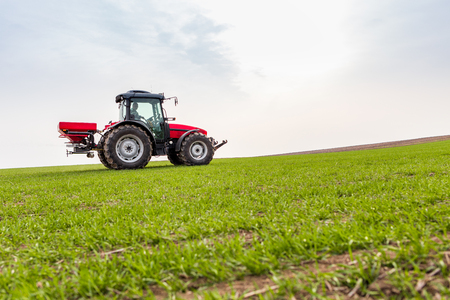 Farmer in tractor fertilizing wheat field at spring with npkの写真素材