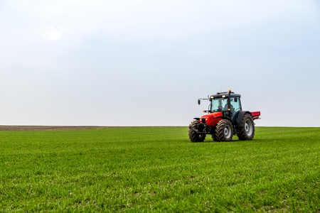 Farmer in tractor fertilizing wheat field at spring with npkの写真素材