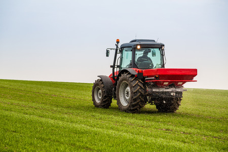 Farmer in tractor fertilizing wheat field at spring with npkの写真素材