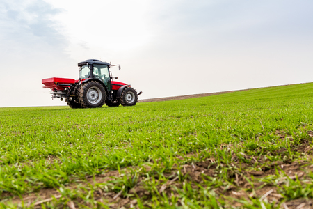 Farmer in tractor fertilizing wheat field at spring with npkの写真素材
