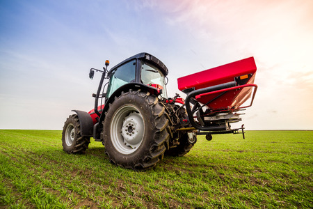 Farmer in tractor fertilizing wheat field at spring with npkの写真素材