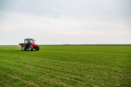 Farmer in tractor fertilizing wheat field at spring with npkの写真素材