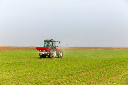 Farmer in tractor fertilizing wheat field at spring with npkの写真素材