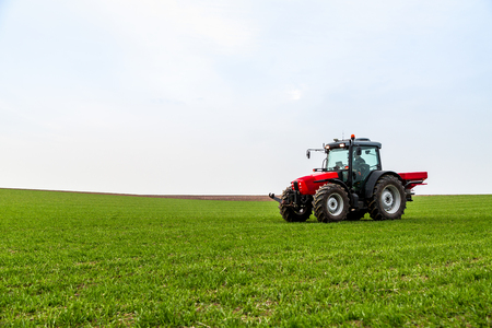 Farmer in tractor fertilizing wheat field at spring with npkの写真素材