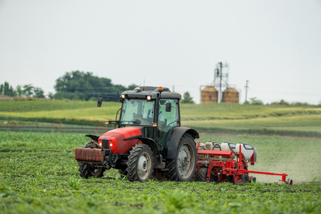 Farmer seeding, sowing crops at field. Sowing is the process of planting seeds in the ground as part of the early spring time agricultural activities.の写真素材