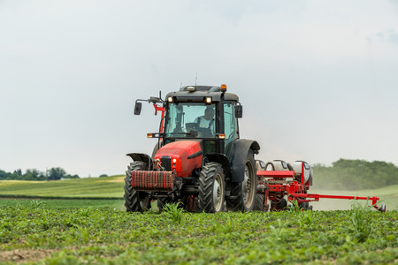 Farmer seeding, sowing crops at field. Sowing is the process of planting seeds in the ground as part of the early spring time agricultural activities.の写真素材